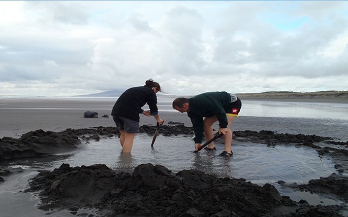 Kawhia hot springs and hot pools